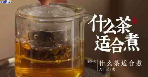 什么种类的茶适合煮-什么种类的茶适合煮着喝