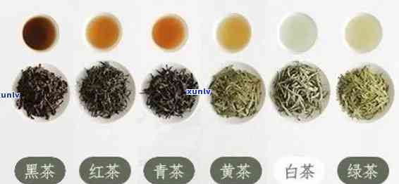 半发酵茶有哪些好喝的品种？