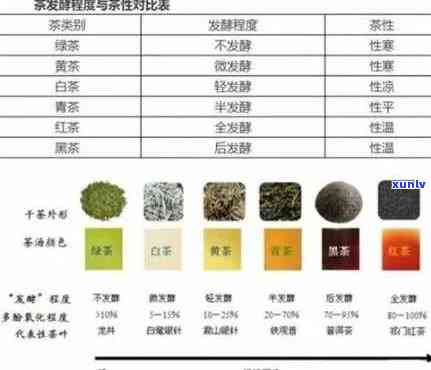 半发酵茶的种类及其类型介绍