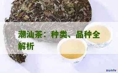 潮汕茶的品种大全：详细介绍各类名优茶品