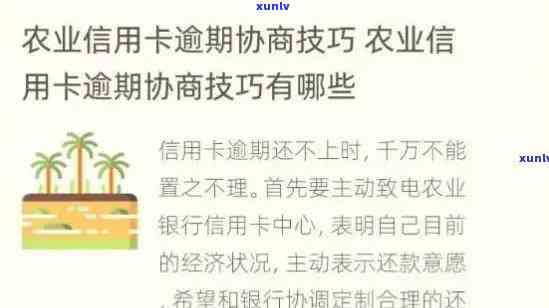 农业逾期协商成功后怎么查询，怎样查询农业逾期协商后的解决结果？