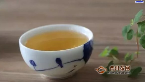 石斛养生茶茶怎么煲-石斛养生茶茶怎么煲好喝