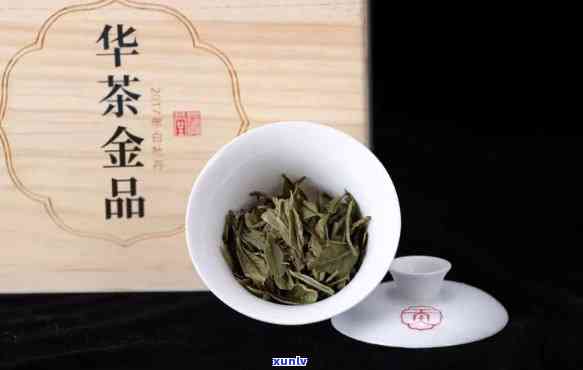 华茶一号是什么品种-华茶一号是什么品种的茶叶