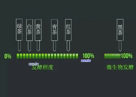 不发酵茶的品种有哪些？详解常见不发酵茶叶