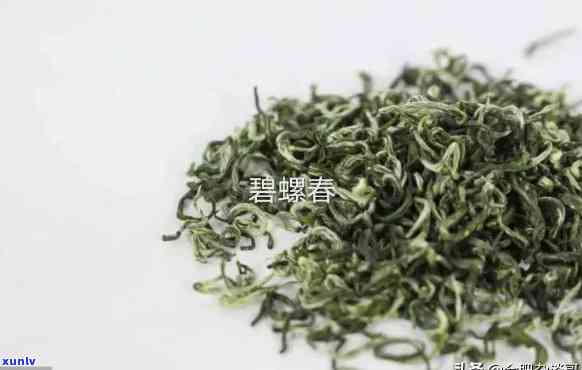 北垛春茶是什么品种的茶叶，揭秘北垛春茶：究竟属于哪种茶叶品种？