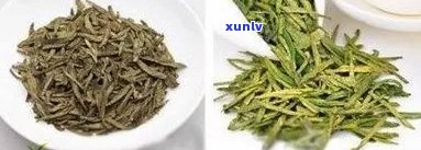 北垛春茶是什么品种-北垛春茶是什么品种的茶