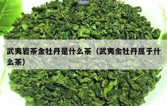 金牡丹是啥茶，揭秘茶叶新品——金牡丹，它究竟是什么茶？