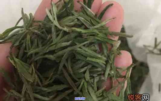 黄山野茶是什么茶，探秘黄山：解析“黄山野茶”是什么茶？