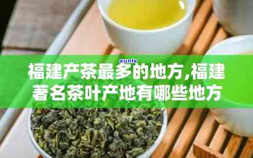 福建政和茶叶品种大全：产地、茶厂一网打尽！