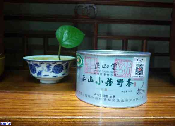 野茶小种的品种-野茶小种的品种是什么