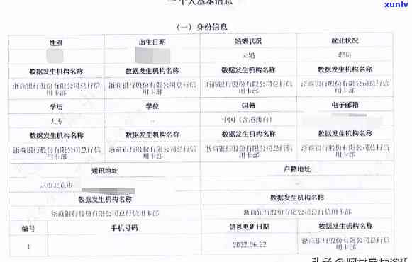 逾期总额含义解析：理解报告中这一关键指标