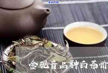 金观音茶是什么品种-金观音茶是什么品种的