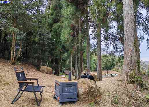 福州鼓岭泡茶的地方-福州鼓岭泡茶的地方有哪些