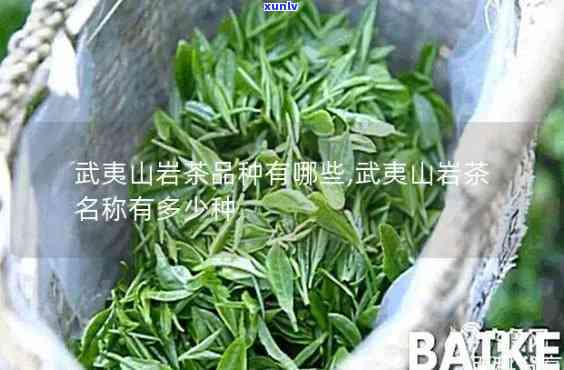 武夷山品种茶香破天-武夷山的香破天是什么茶