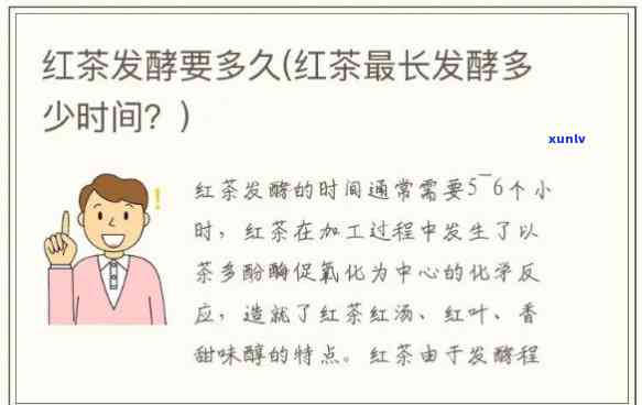 红茶的发酵时间：多久算？超过这个时间还能喝吗？