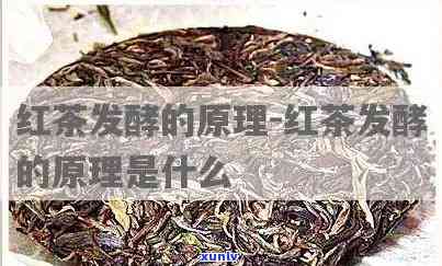 探究红茶发酵时间和度及 *** ：全过程解析