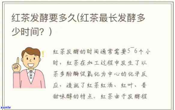 探究红茶发酵时间和度及 *** ：全过程解析