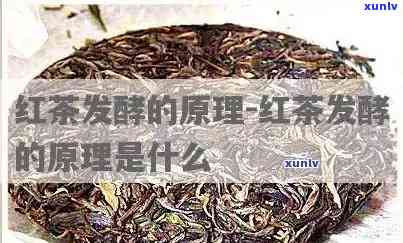 红茶发酵程度标准及图片解析