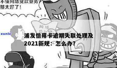 浦发逾期十万失联-浦发欠款10万,逾期5个月,没钱还怎么办