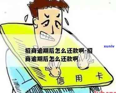 招商逾期超过3天，怎样解决？逾期三天会有什么结果？