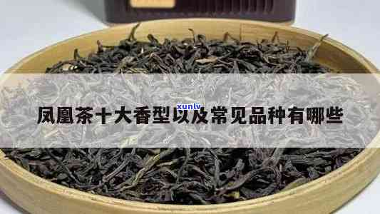 凤凰茶什么品种-凤凰茶什么品种喝