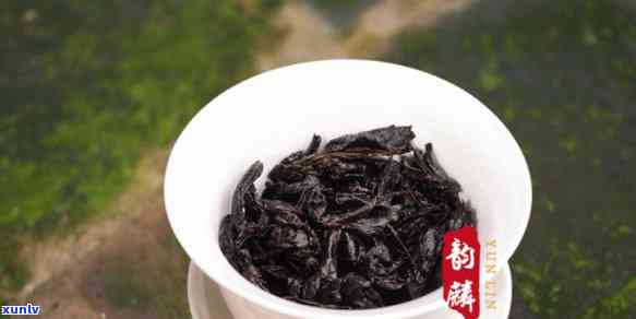 武夷山品种茶铁罗汉-武夷山铁罗汉茶价位