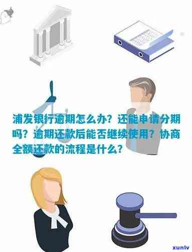 信用卡逾期判决上诉书的详细指南：如何撰写、提交及相关注意事项