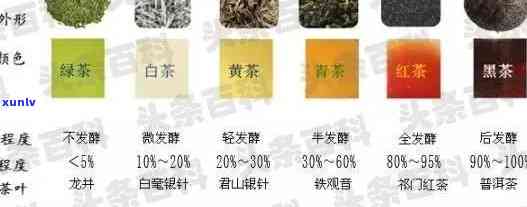 青茶品种名称、图片及价格全览