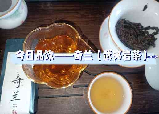 奇兰是什么茶？了解其类别与品种