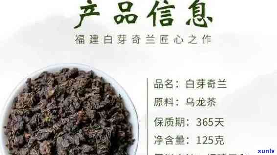 奇兰是什么品种的茶-奇兰是什么品种的茶叶