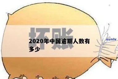 中国逾期人数2020，2020年中国逾期人数统计报告出炉