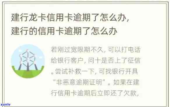 建设银行用卡逾期怎么办，怎样解决建设银行信用卡逾期疑问？