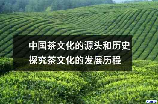 保健茶生产厂家产品大全：详细介绍各类保健茶及相关信息