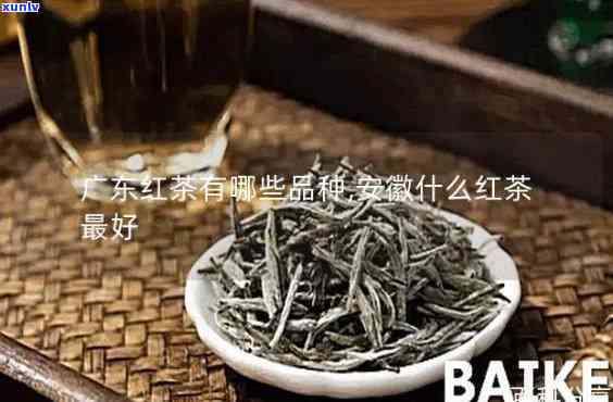 东红茶有哪些品种-东红茶有哪些品种 前十名