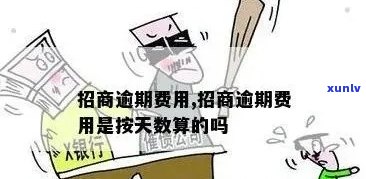 招商逾期费用按天计算，怎样收费？