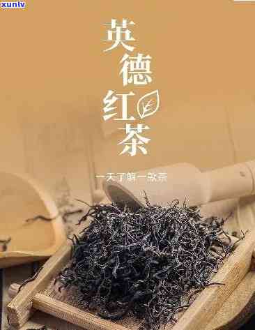 英德红茶哪一种好喝，品鉴英德红茶：哪一款口感更胜一筹？