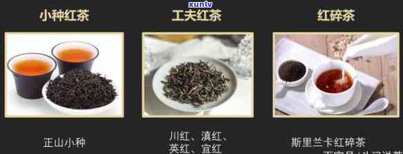 门红茶品种全图：图片 价格一览