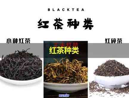 红茶都包括哪些品种图片及其名称全览