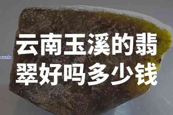 云南七子饼茶中国云南西双版纳勐海茶厂出品，中国云南西双版纳勐海茶厂出品 云南七子饼茶