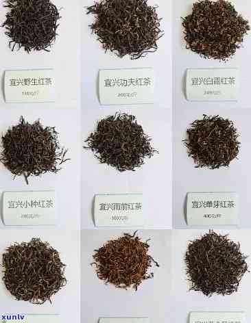 宜兴红茶是什么品种的茶，揭秘宜兴红茶：它属于哪种茶叶品种？