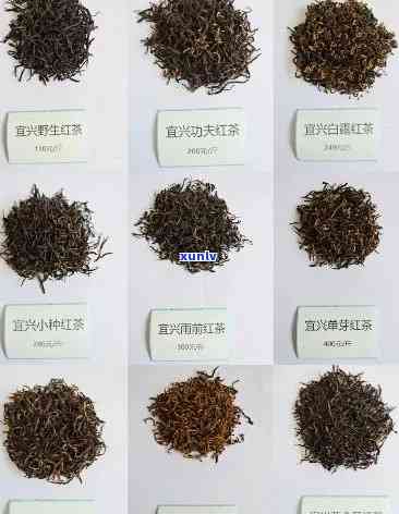 宜兴红茶是什么品种-宜兴红茶是什么品种的茶