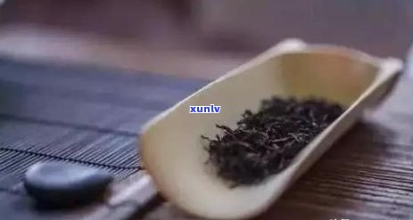 红茶长毛是什么品种-红茶长毛了还能喝吗