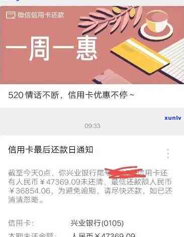 阳绿翡翠原石价值高吗？多少钱一块？