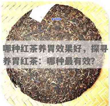 哪个品种红茶最养胃-哪个品种红茶最养胃