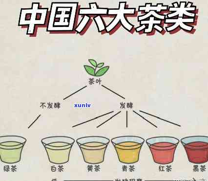 简述中国茶类的划分-简述中国茶类的划分依据