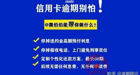 发卡逾期5个月：结果、解决方法及作用全解析