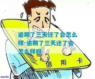 发逾期3天，需在2点前还款，但我没钱，怎么办？