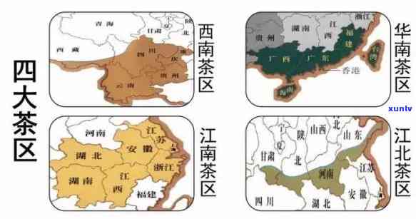 我国茶区分为几大茶区，中国茶区划分：揭秘我国的五大主要茶区