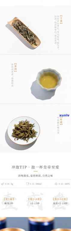 朕宗茗茶中国茶文化-朕宗茗茶官网