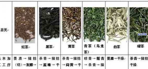 茶都有哪些品种名称图片，探索茶的世界：了解各种茶的品种和图片